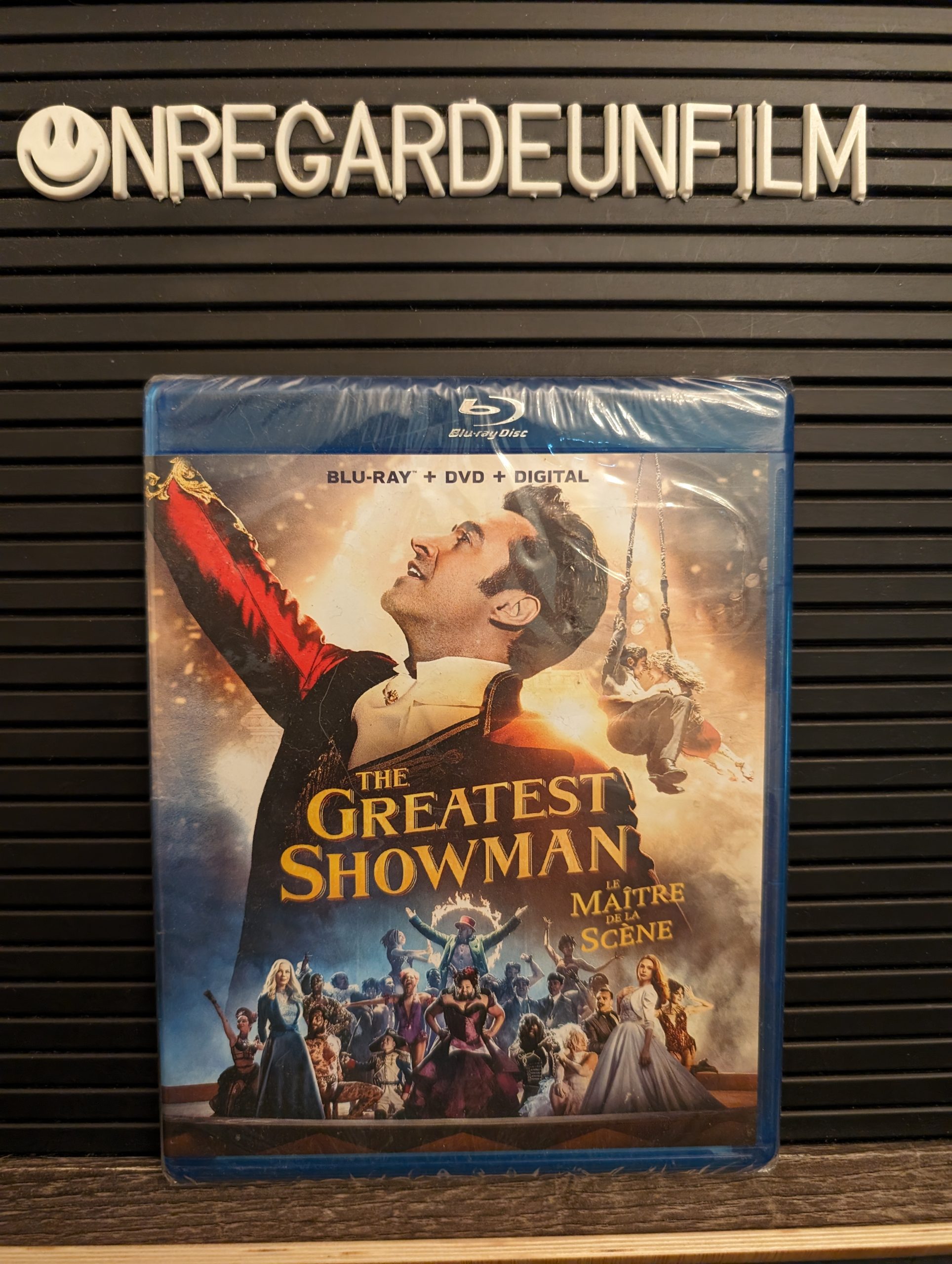 Le Maître de la Scène / The Greatest Showman (2017)