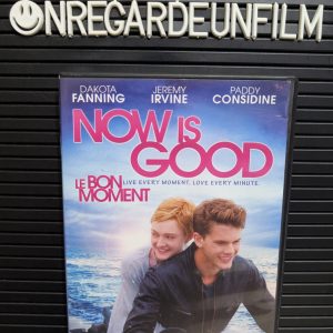 Le Bon Moment (Maintenant ou Jamais) / Now Is Good (2012)