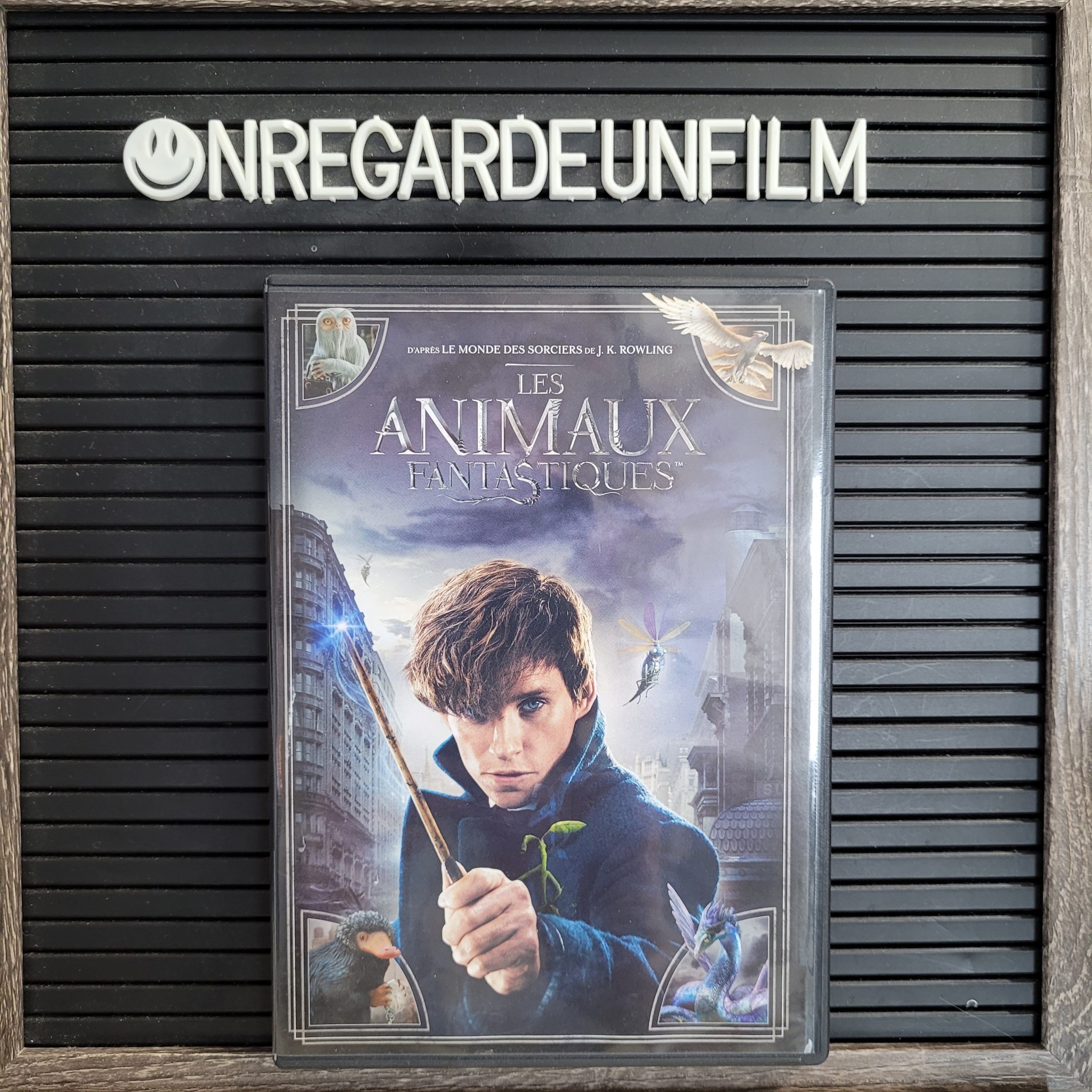 Les Animaux Fantastiques / Fantastic Beasts and Where to Find Them (2016)