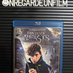 Les Animaux Fantastiques / Fantastic Beasts and Where to Find Them (2016)
