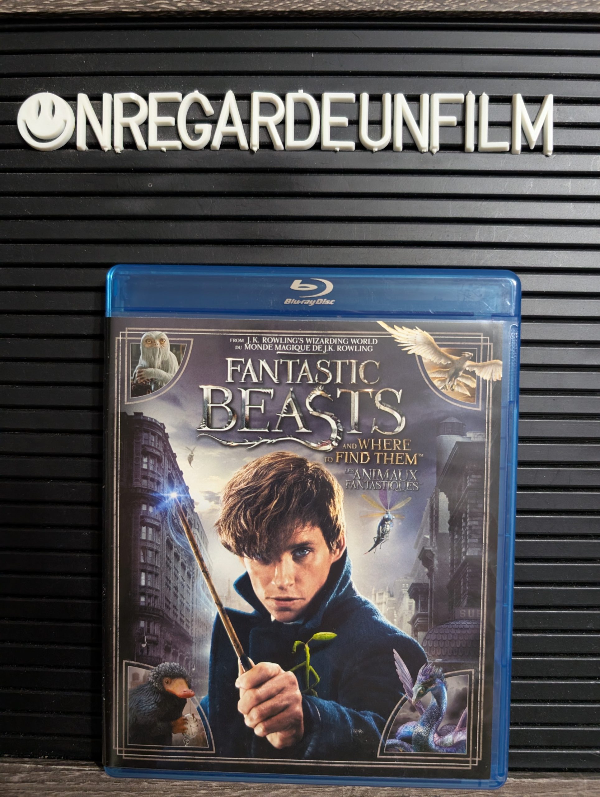 Les Animaux Fantastiques / Fantastic Beasts and Where to Find Them (2016)
