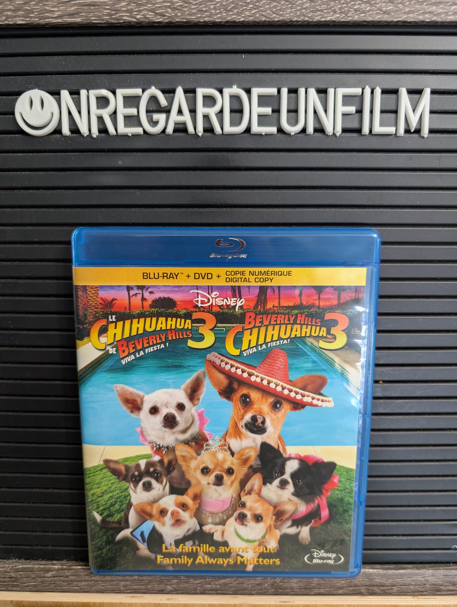 Le Chihuahua de Beverly Hills 3: Viva La Fiesta! / Beverly Hills Chihuahua 3: Viva La Fiesta! (2012)