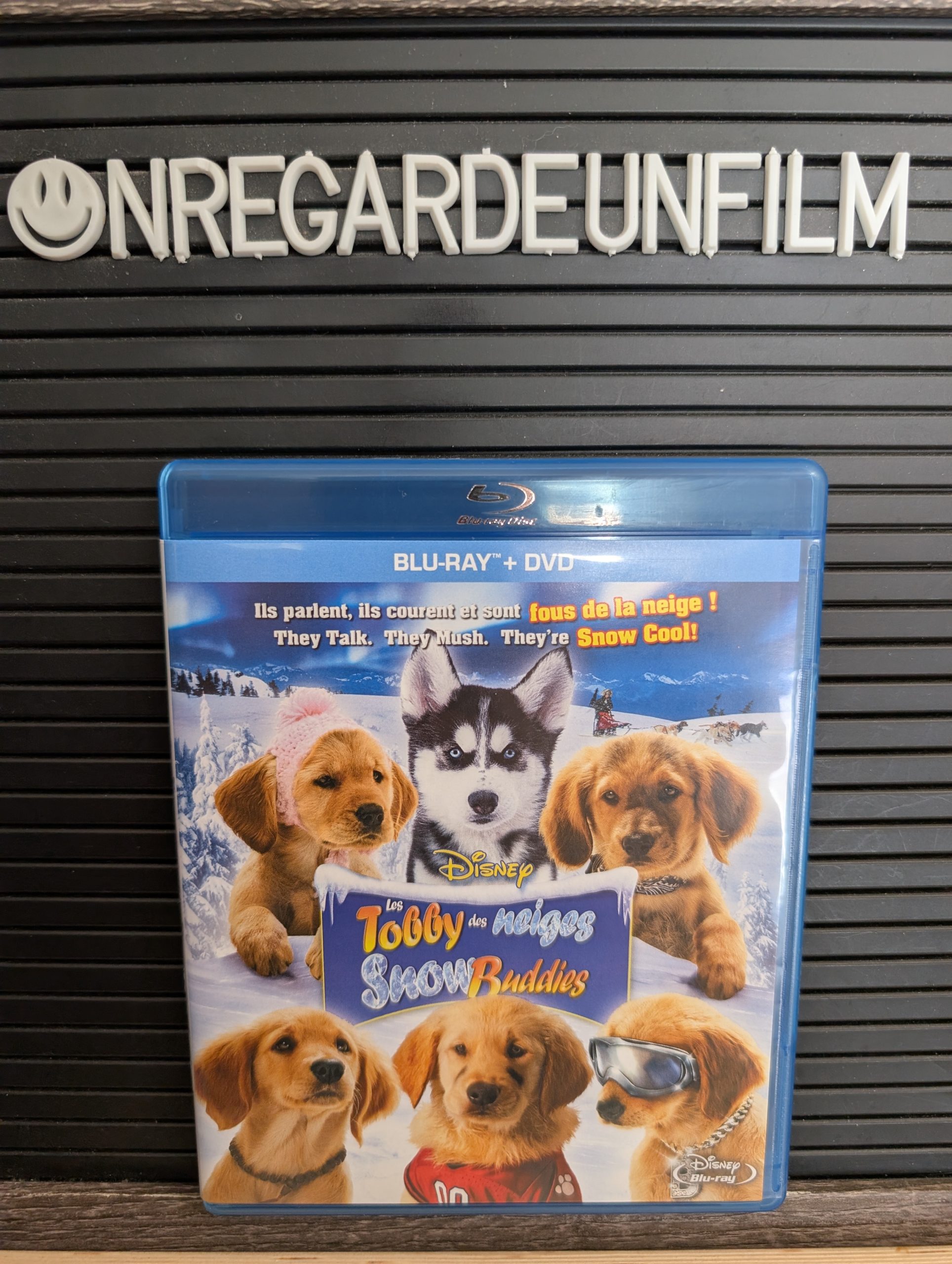 Les Tobby des Neiges / Snow Buddies (2008)