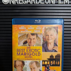 Bienvenue au Marigold Hotel / The Best Exotic Marigold Hotel (2011)