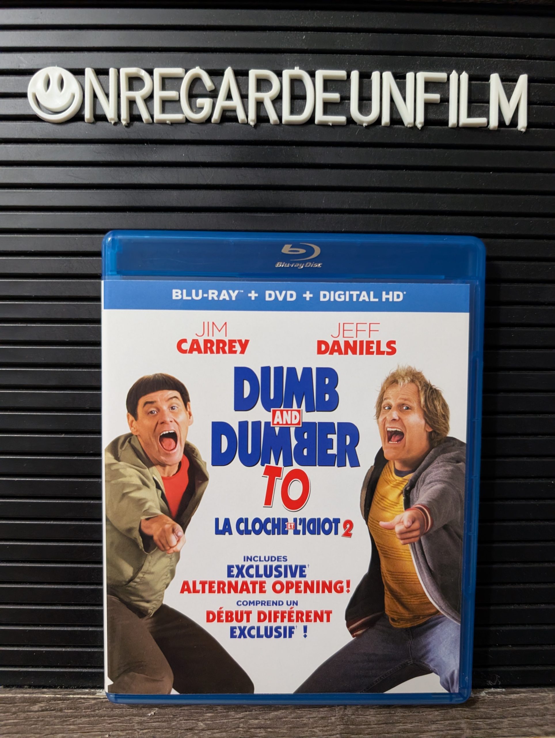 La Cloche et l'Idiot 2 / Dumb and Dumber To (2014)