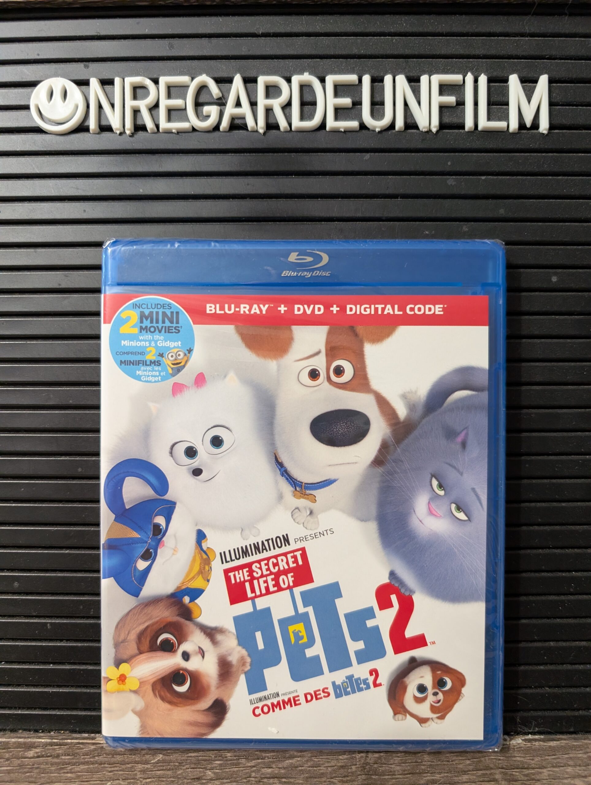 Comme des Bêtes 2 / The Secret Life of Pets 2 (2019)