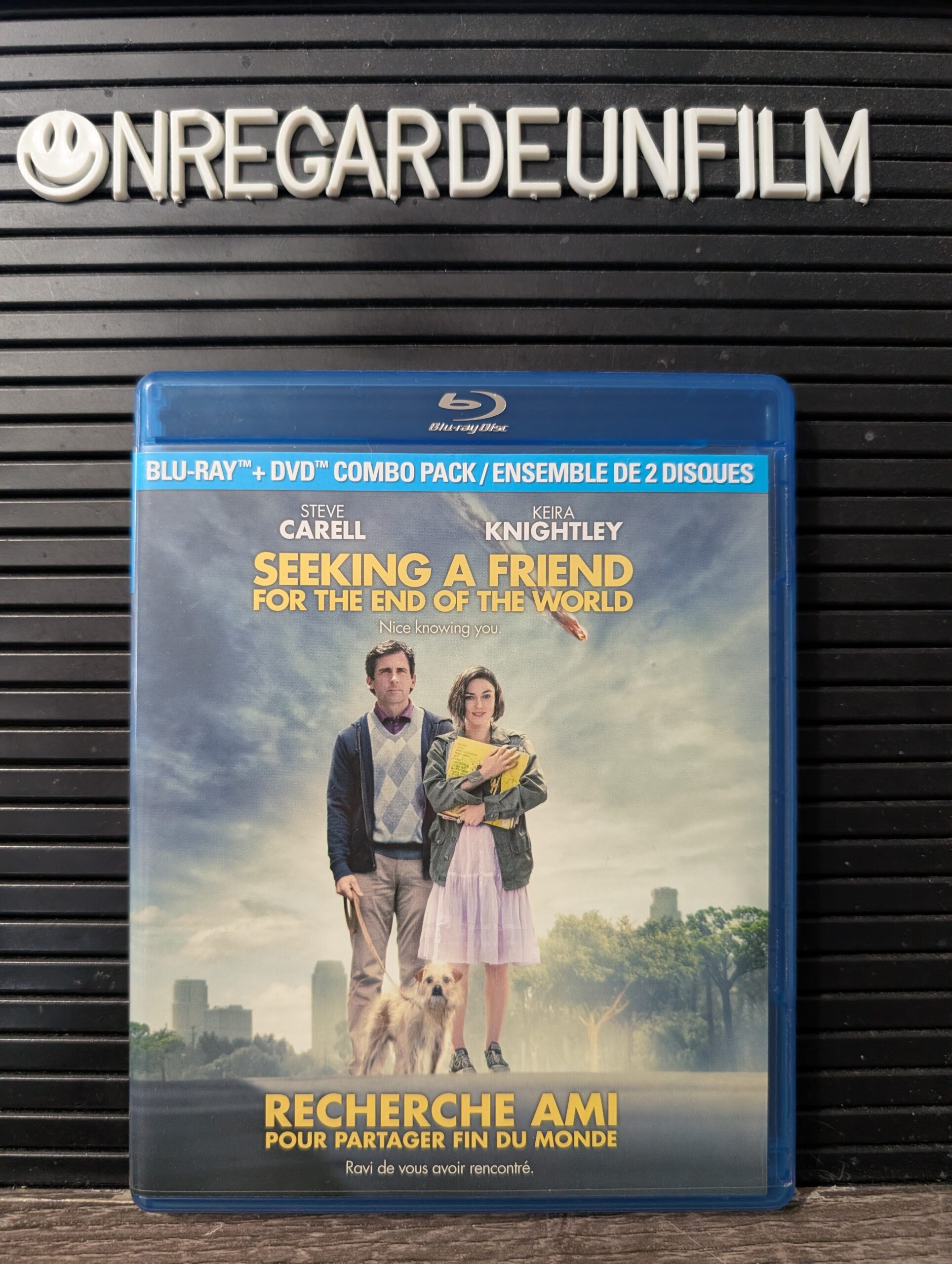Recherche Ami pour Partager Fin du Monde / Seeking a Friend for the End of the World (2012)