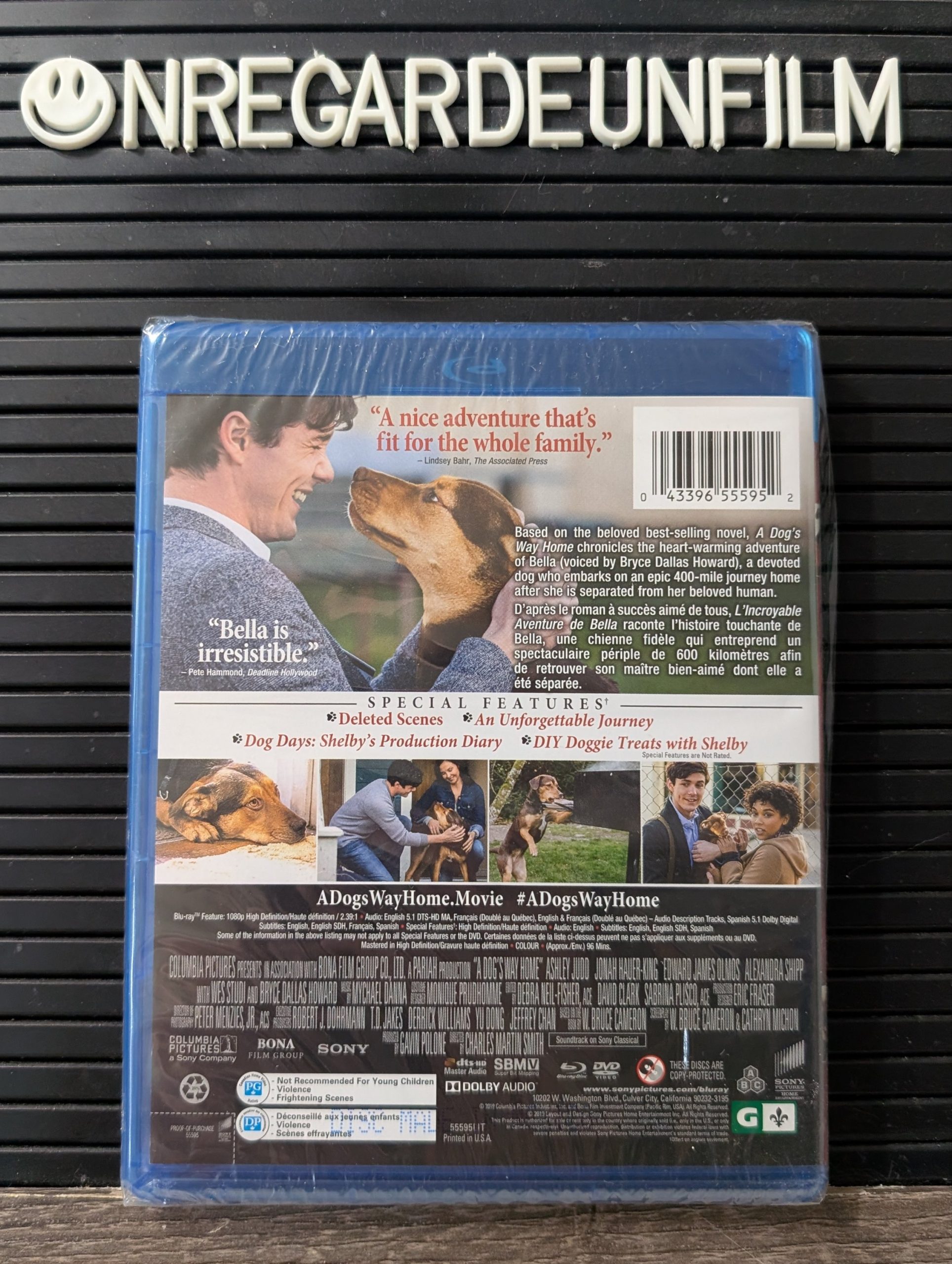 L'Incroyable Aventure de Bella / A Dog's Way Home (2019) – Image 2