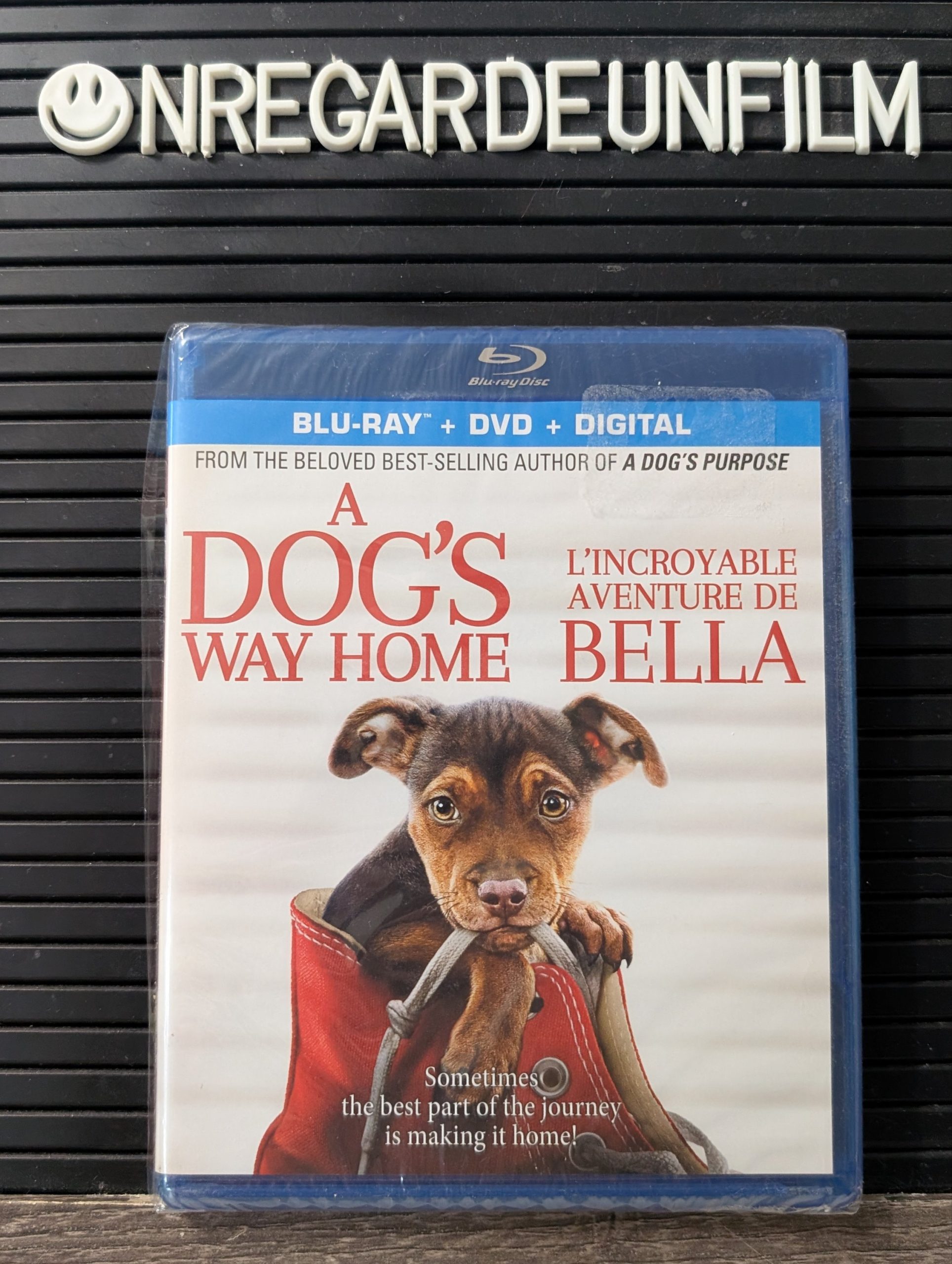 L'Incroyable Aventure de Bella / A Dog's Way Home (2019)