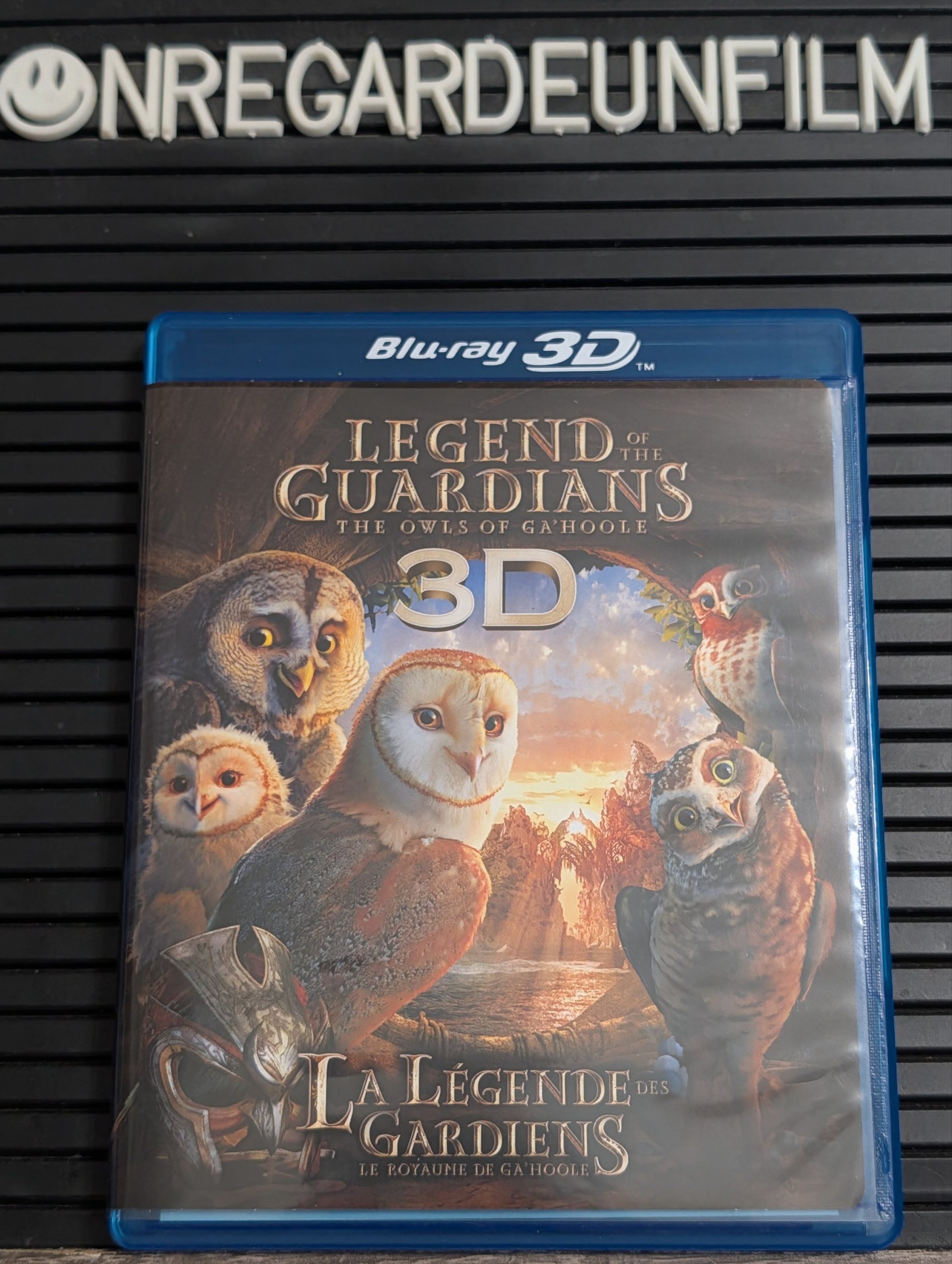 La Légende des Gardiens: Le Royaume de Ga'Hoole / Legend of the Guardians: The Owls of Ga'Hoole (2010) 3D – Image 2