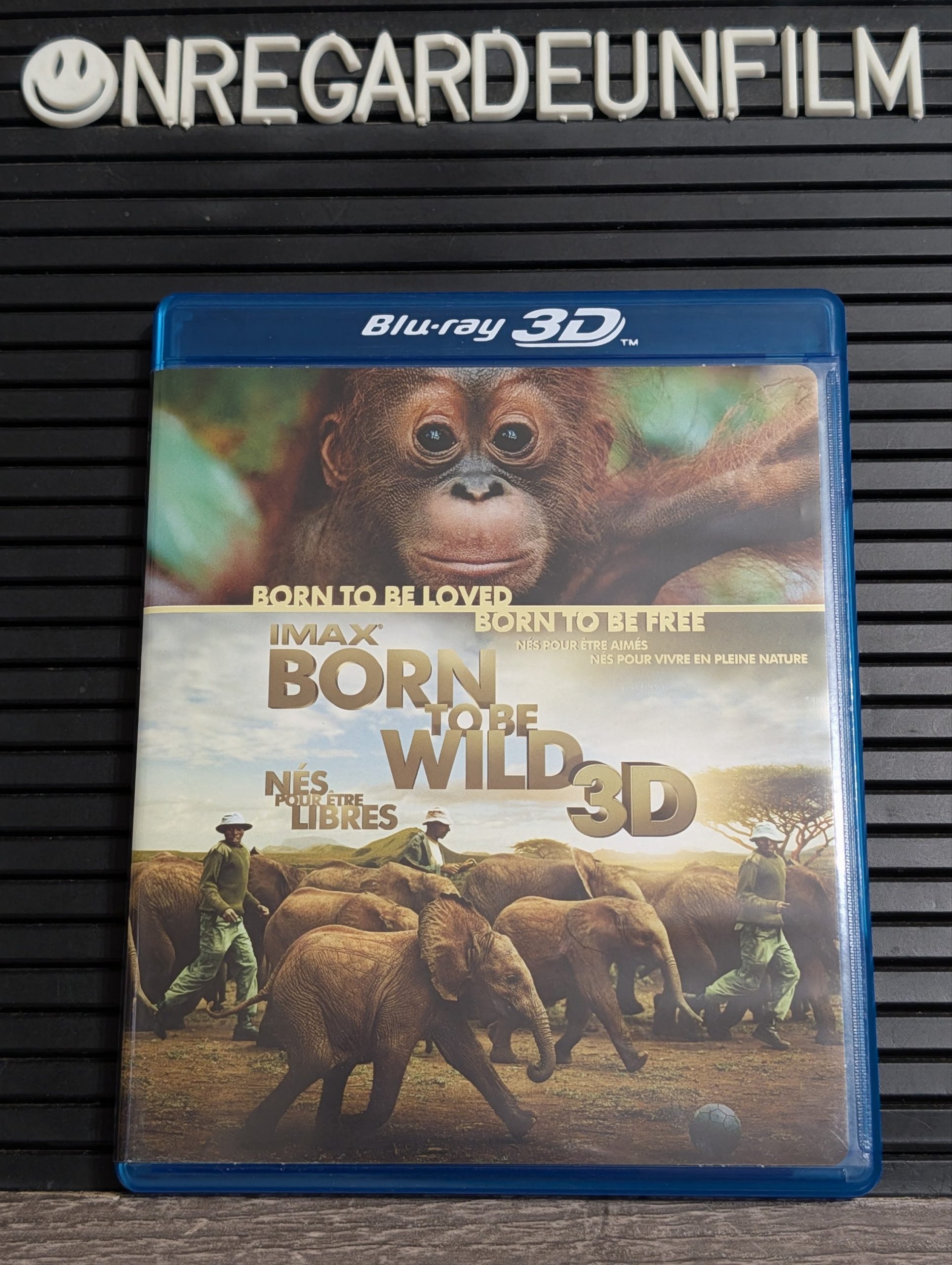 Nés pour être Libre / Born to Be Wild (2011) 3D – Image 2