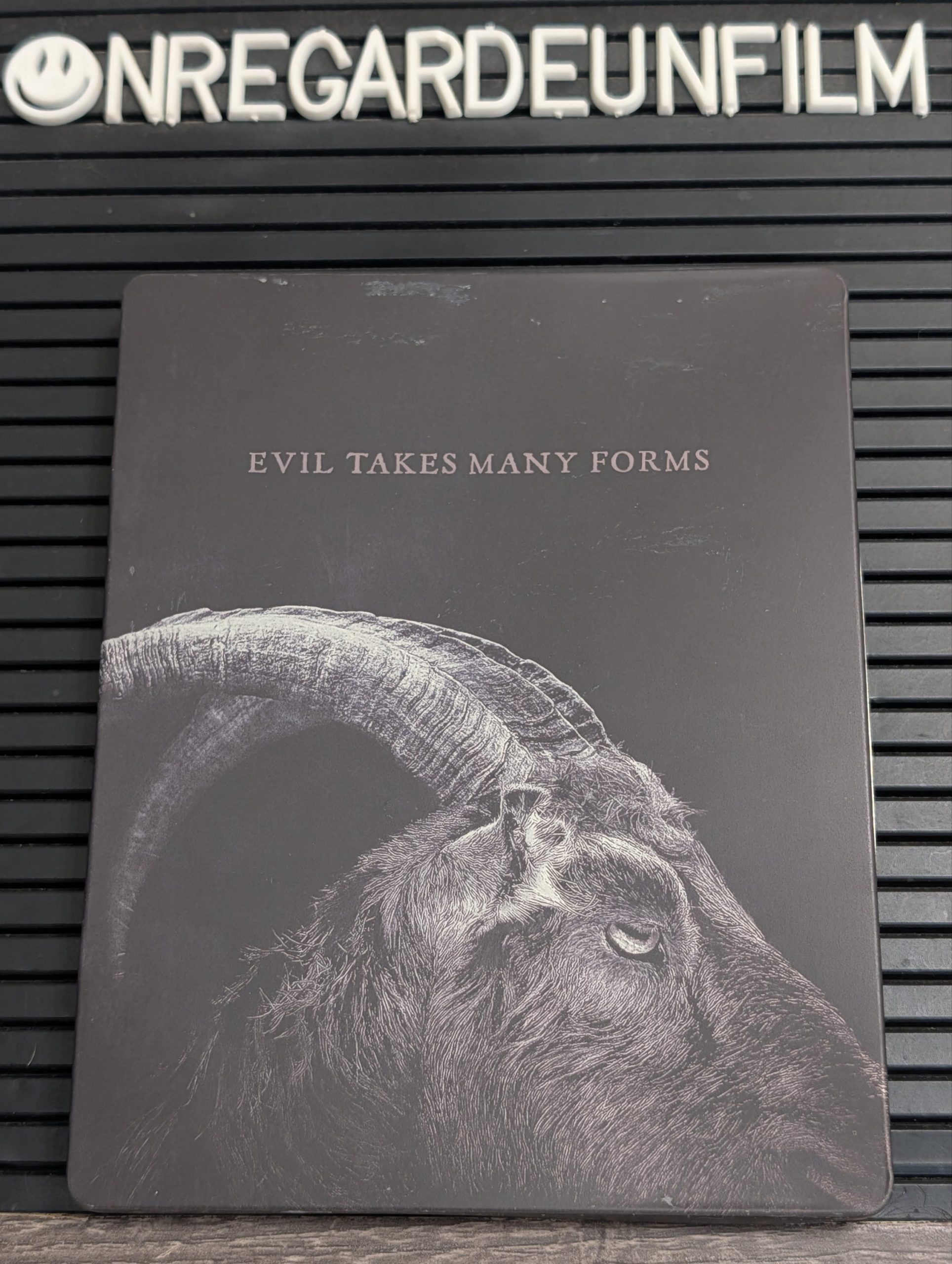 La Sorcière / The Witch: A New-England Folktale (2015) – Image 2