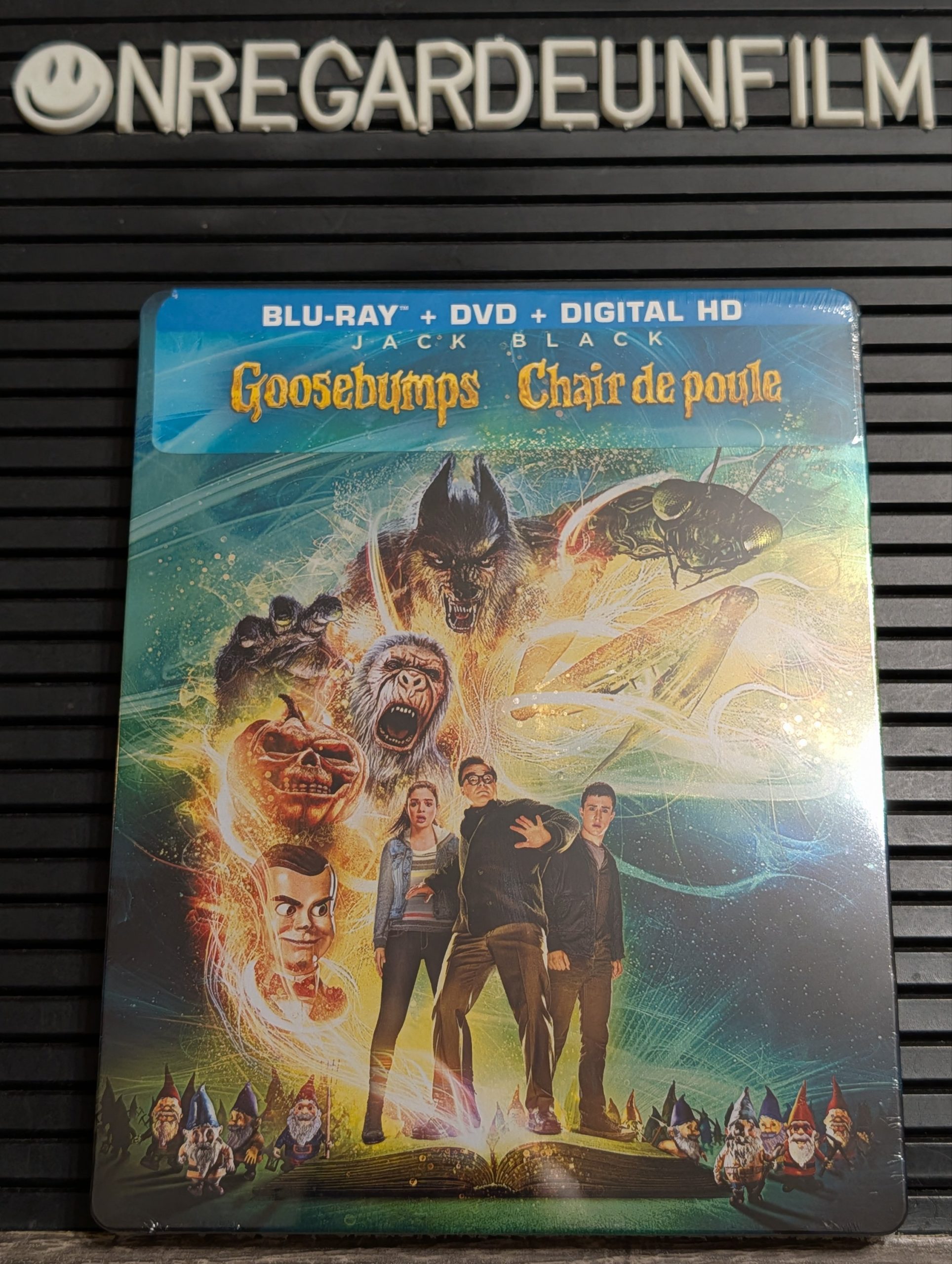 Chair de Poule / Goosebumps (2015)